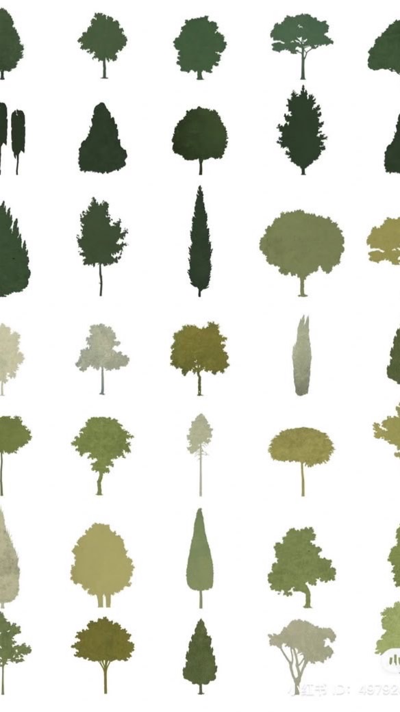 喔樹喔🌲