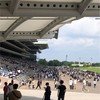 【競馬】重賞レース一緒に観るぞ🐎