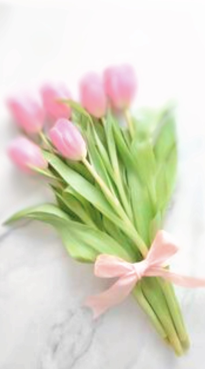 虹の蕾~⨾༊󠀺ᴿêᵛᵉ~ꕤ୭