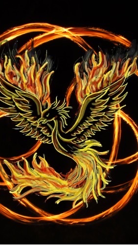 Phoenix🔥(IYOVIA team SANA)