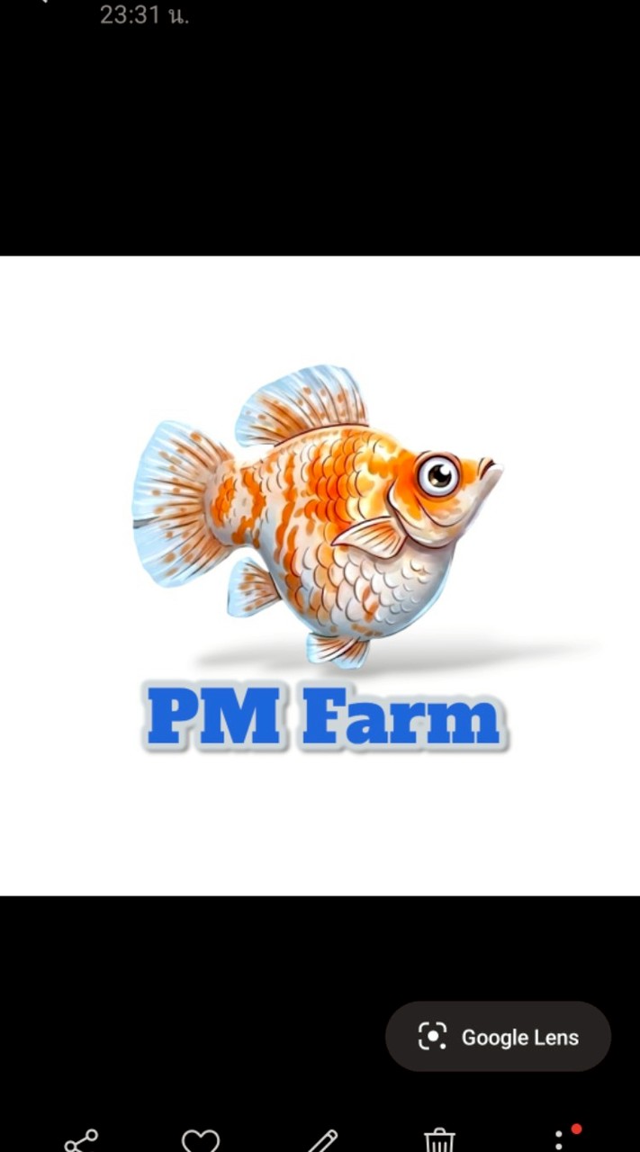 PM farm molly fish