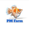 PM farm molly fish