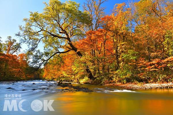 達人等級紅葉絕景 奧入瀨溪賞楓秘境 景點家 Line Today