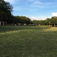 抗疫風靡全球超級葡萄-白藜蘆醇台南代購