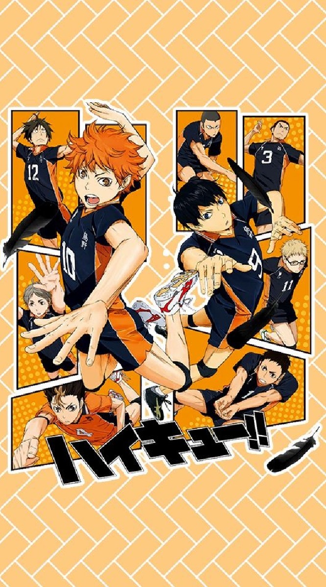 ✨Haikyuu​ Role Play✨