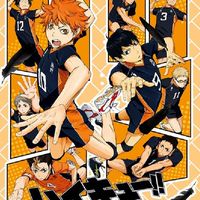 ✨Haikyuu​ Role Play✨