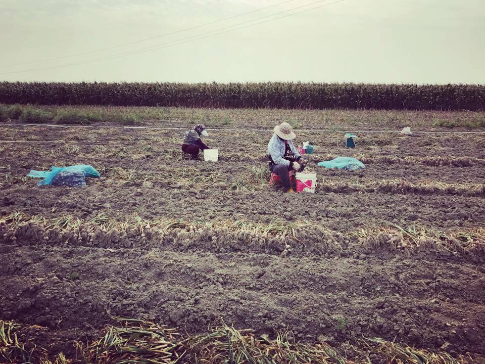 青年返鄉-妳好南搞-南國微醺-02