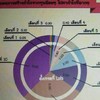 Forex Tool and Signal