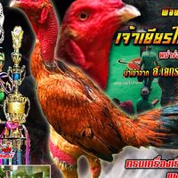 โจ นครสวรรค์
