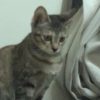 高雄保全代班下班後直接領