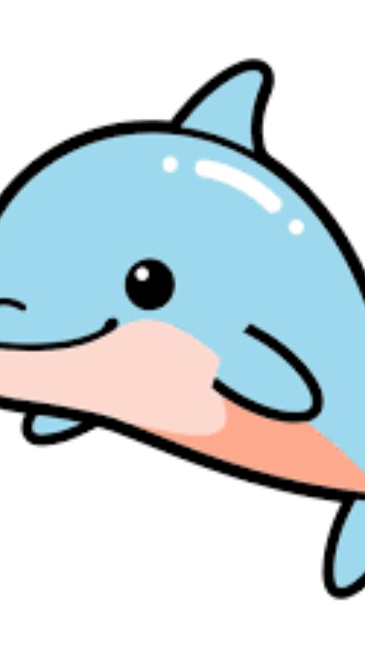 海豚班