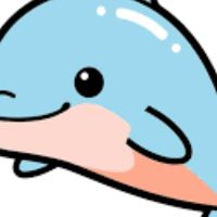 海豚班