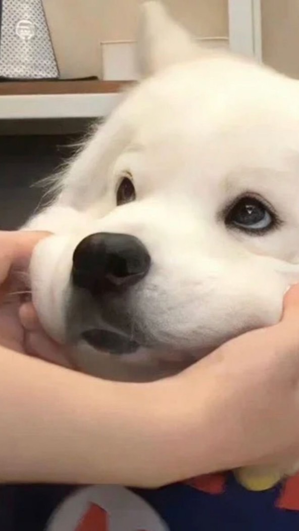 ถ่ายภาพ/อวดภาพ