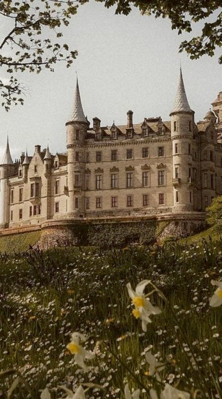 ༺°✩⚜️𝙈𝙖𝙜𝙞𝙘 𝙤𝙛 𝙎𝙘𝙝𝙤𝙤𝙡⚜️✩°༻ [ RP ]