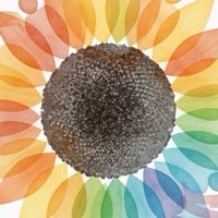 Ripnity〜親子体験コミュニティ〜