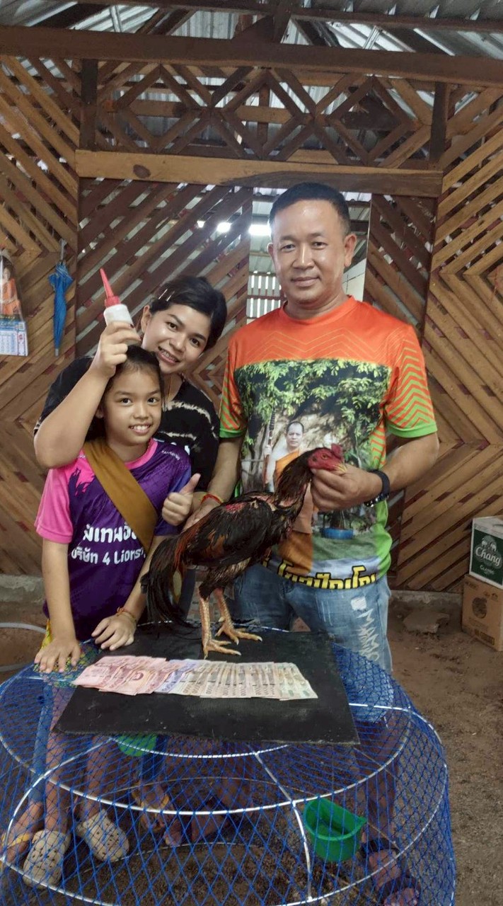สนามไก่ชนท่างาม