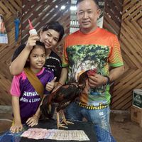 สนามไก่ชนท่างาม