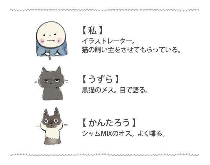 小さな所にも猫らしい個性が しっぽの先まで愛らしい２匹