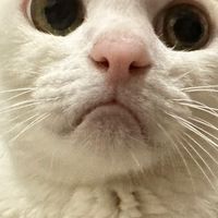 ［AT阿徐老師］歌唱一對一師生群組