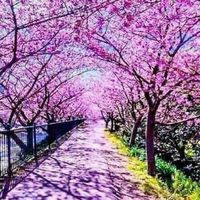 聖母大家族--全園性公告