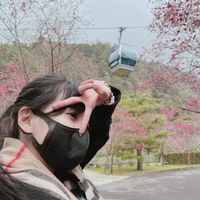 ❤️咖咖寶物❤️