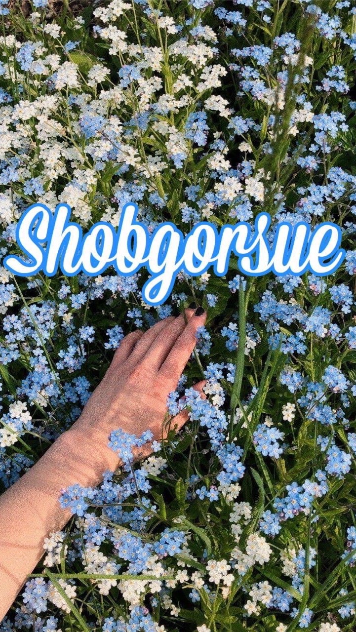 Shobgorsue เสื้อUSAมือสองราคาส่ง 💖