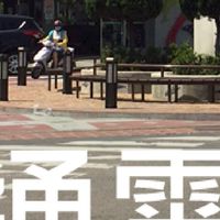 我是通霄人