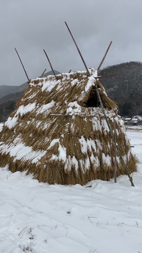 三田ウド小屋継承プロジェクト