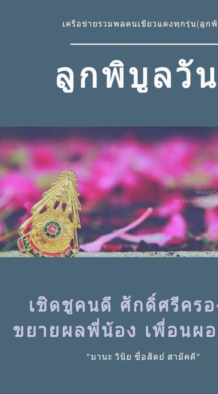 เครือข่ายรวมพลคนเขียวแดง