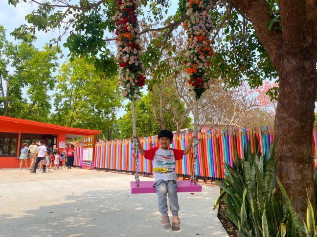 中部景點,斗六景點,斗六花旗木,近水樓台,近水樓台湖畔森林咖啡,近水樓台湖畔森林咖啡交通資訊,近水樓台湖畔森林咖啡停車場,近水樓台湖畔森林咖啡停車場花旗木,近水樓台湖畔森林咖啡門票,雲林IG打卡點,雲林景點,雲林網美景點,雲林花旗木近水樓台湖畔森林咖啡花旗木