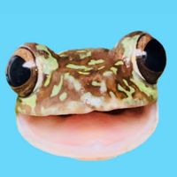 〜両生類が好きな人集まれ〜