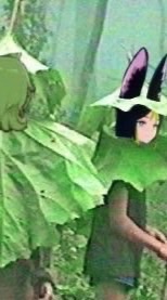 可愛らしく鳴け.