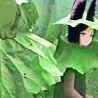 可愛らしく鳴け.
