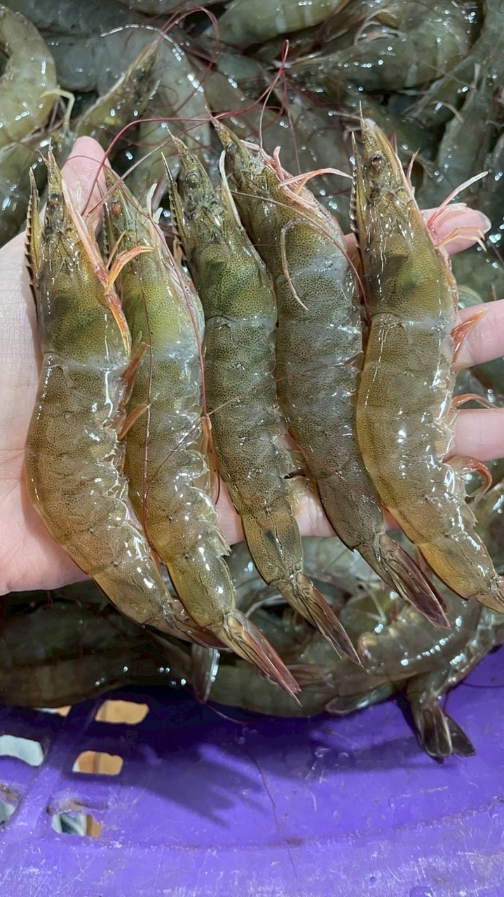 เสมียนเพิ่มพูน