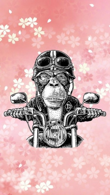 野孩子騎士團