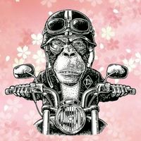 野孩子騎士團