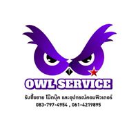 Owl Service
