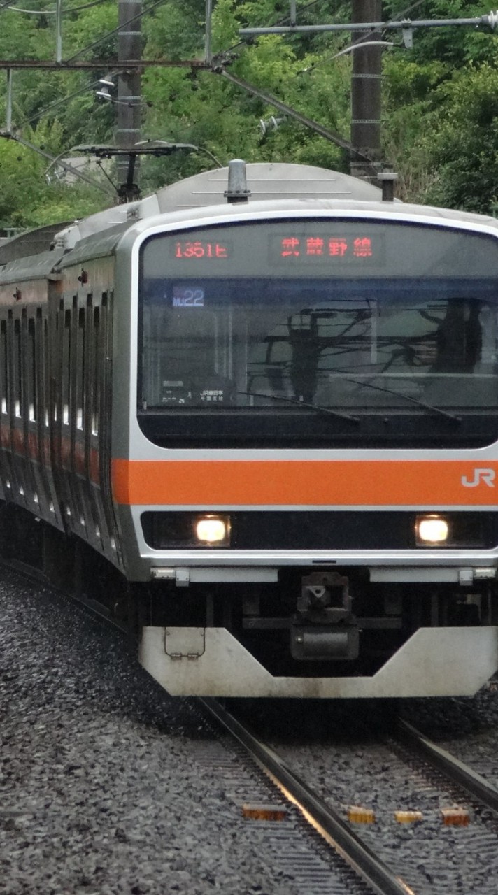 武蔵野線が好きな人のオプ