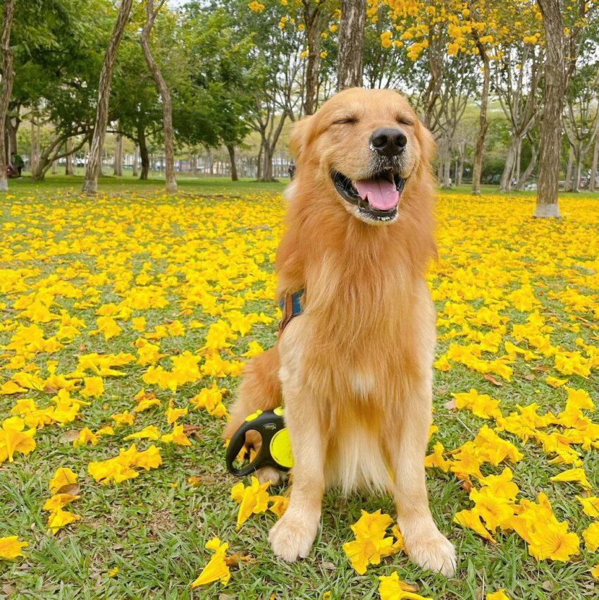 台中捷運 104 松竹站 舊社公園