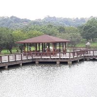 新北上山下海聊天室