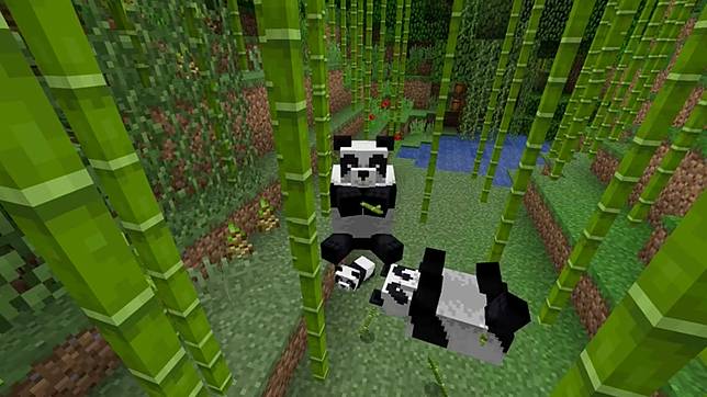 來蓋一座動物園 Minecraft 新朋友 熊貓 即將登場 上報 Line Today