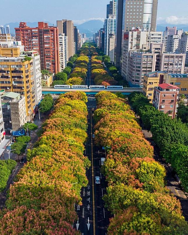 ▲圖片來源：IG@weichang_wu