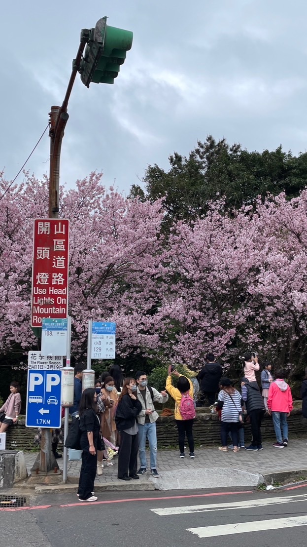 專業叫車-叫車白牌新北台北-桃園-淡水-基隆-宜蘭-中壢-叫車包車-市區搭乘-台北白牌-桃園白牌