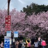 專業叫車-叫車白牌新北台北-桃園-淡水-基隆-宜蘭-中壢-叫車包車-市區搭乘-台北白牌-桃園白牌