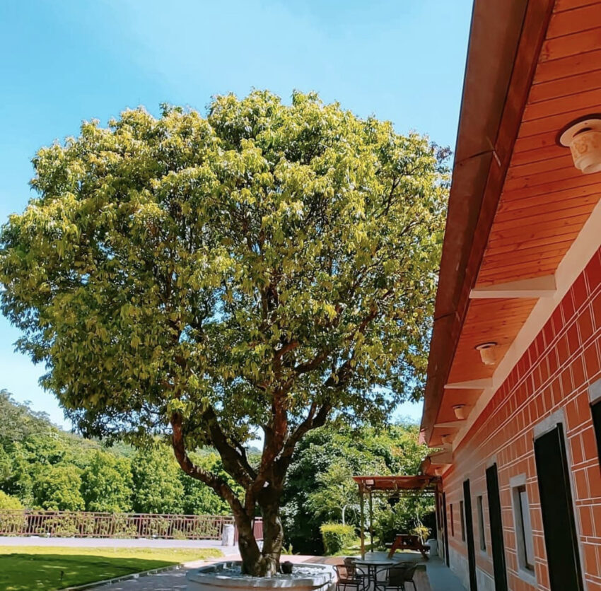 新竹民宿,新竹民宿, 新竹包棟民宿, 新竹包棟, 新竹民宿包棟, 新竹親子民宿, 新竹寵物友善住宿, 新竹民宿推薦, 新竹特色民宿, 新竹民宿villa, 新竹包棟villa, 新竹包棟villa泳池, 新竹住宿dcard, 新竹海景民宿, 新竹民宿包棟10人, 新竹拾月山房, 新竹市民宿, 新竹烤肉民宿, 新竹寵物民宿, 新竹包棟民宿15人, 新竹親子民宿包棟, 新竹山上民宿, 新竹溜滑梯民宿, 新竹景觀民宿, 新竹包棟民宿20人, 新竹民宿網, 新竹包棟民宿8人, 新竹朝日溫泉民宿, 新竹泳池民宿, 新竹小木屋住宿, 新竹綠世界住宿, 新竹民宿烤肉, 新竹小木屋包棟, 新竹包棟民宿10人, 新竹山上住宿, 新竹普羅旺斯玫瑰莊園, 新竹villa包棟, 新竹親子民宿溜滑梯, 新竹民宿親子, 新竹寵物友善民宿, 新竹農場住宿, 新竹小木屋民宿, 新竹推薦民宿, 包棟民宿新竹, 新竹海邊民宿, 新竹包棟民宿30人, 新竹包棟推薦, 新竹六福村附近住宿, 新竹包棟烤肉, 新竹內灣民宿, 新竹火車站住宿dcard, 新竹民宿包棟烤肉, 新竹風雅月筑休閒渡假民宿, 新竹五峰住宿, 新竹烤肉住宿, 新竹特色住宿, 新竹市區民宿, 新竹山區住宿, 新竹山區民宿, 新竹親子包棟, 新竹包棟親子, 住宿新竹,