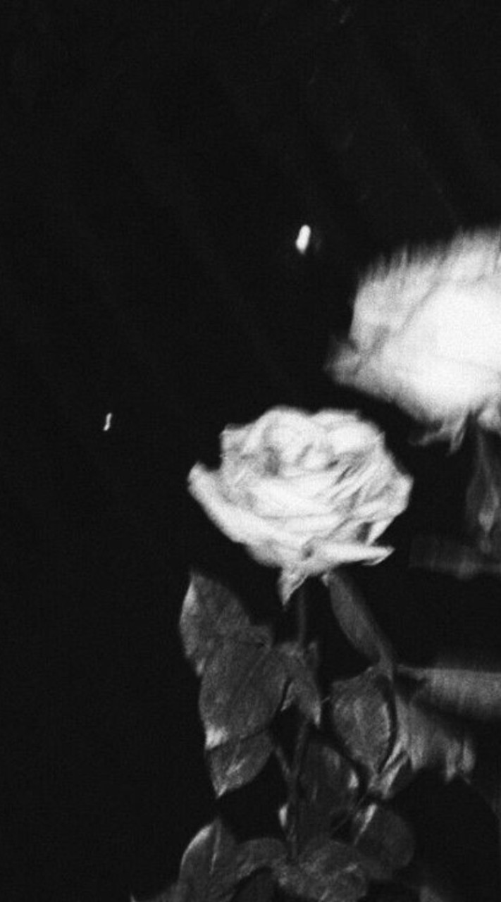 ~  1cp  🥀⋆  ~