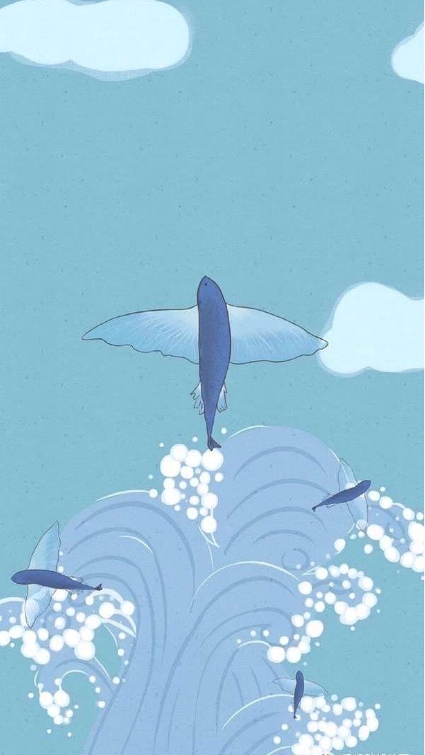 小小魚🐟網購商城團購GOGO趣