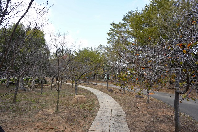 崴立機電櫻花公園
