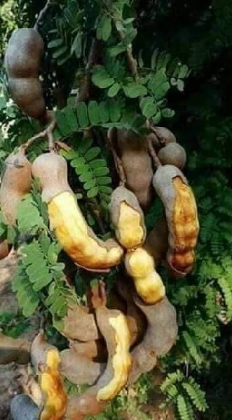 บ้าน.พรานเกษตรอาชีพ มั่นคง