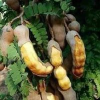 บ้าน.พรานเกษตรอาชีพ มั่นคง